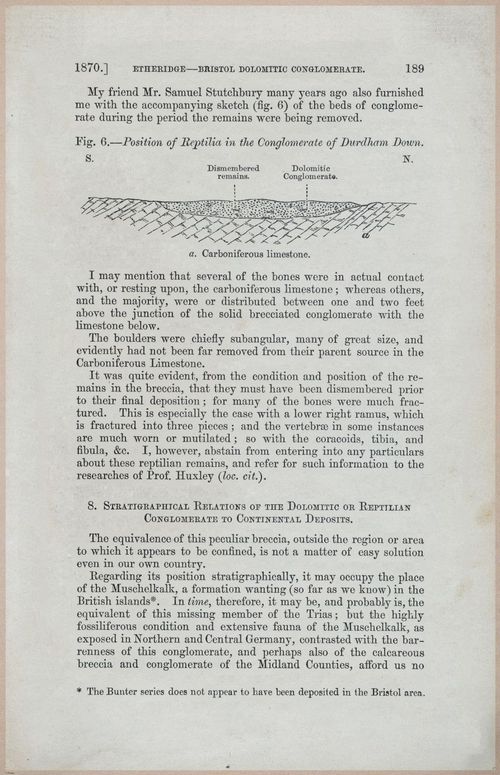 E554 - Museum of Practical Geology - 27380