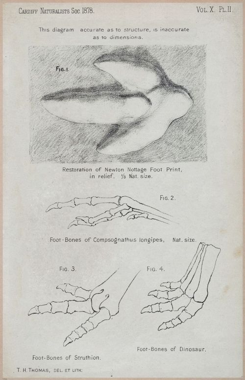 E554 - Museum of Practical Geology - 27381