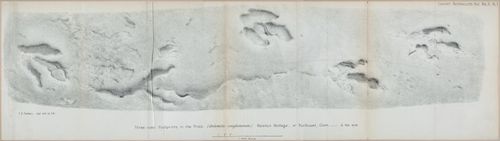 E554 - Museum of Practical Geology - 27382-27383-27384