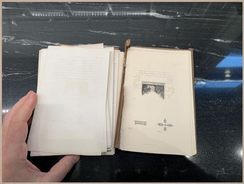 E555 - Lectures by Ruskin - 3574