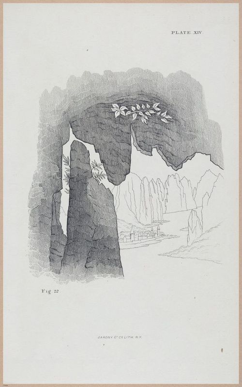 E555 - Lectures by Ruskin - 27321