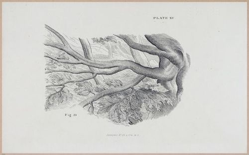 E555 - Lectures by Ruskin - 27322