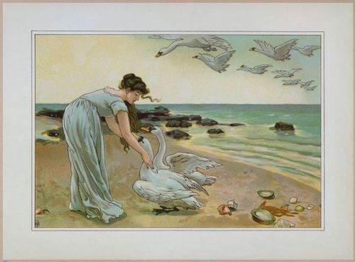 E558 - The White Swans - 1885 - 27563
