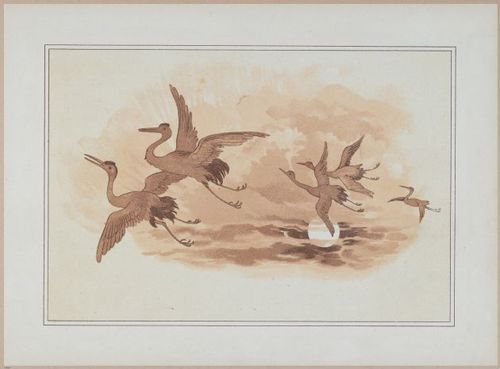 E558 - The White Swans - 1885 - 27562