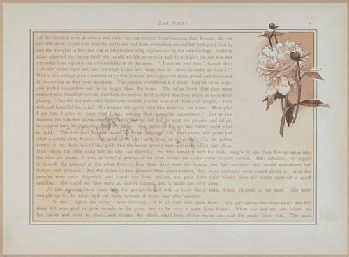 E558 - The White Swans - 1885 - 27568