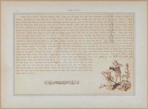 E558 - The White Swans - 1885 - 27571