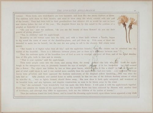 E558 - The White Swans - 1885 - 27582