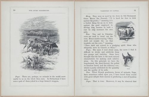 E571 - Our Dumb Neighbors - i28107-28108