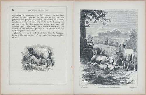 E571 - Our Dumb Neighbors - i28130-28131