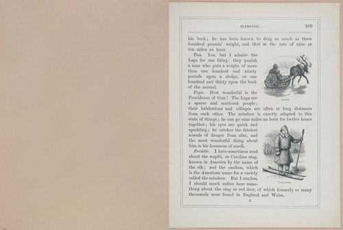 E571 - Our Dumb Neighbors - i28237