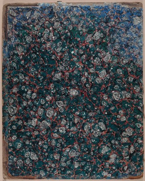 E589 - Georgina Boardman - i29620