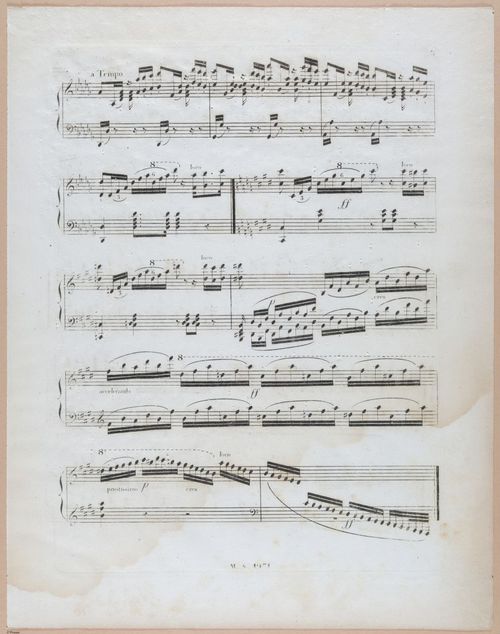 E589 - Georgina Boardman - i29633