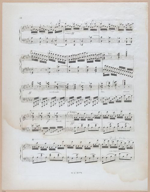E589 - Georgina Boardman - i29638
