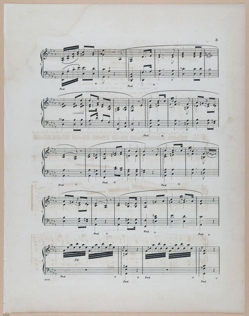 E589 - Georgina Boardman - i29706