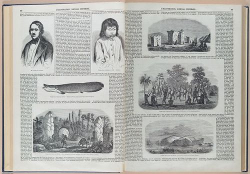 E592 - Illustration Journal Universel - i29916-29947