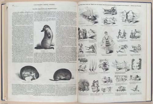 E592 - Illustration Journal Universel - i31615-31734