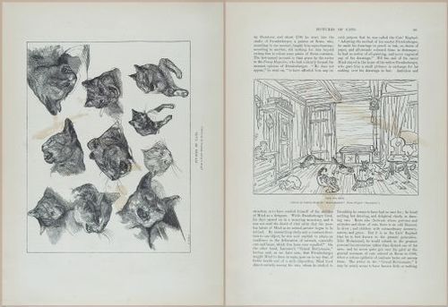 E601 - Magazine of Art - 31851-31852