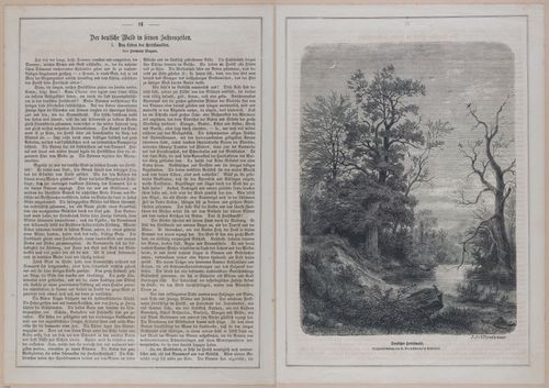 E593 - Daheim - i30078-30079