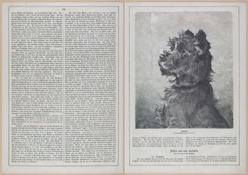 E593 - Daheim - i30970-30971