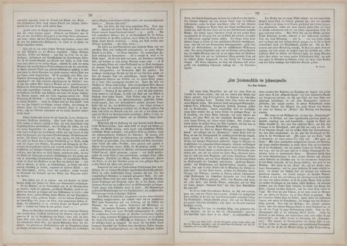 E593 - Daheim - i31030-31031