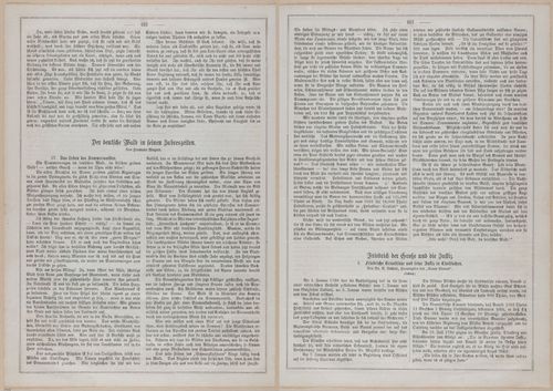 E593 - Daheim - i31332-31333