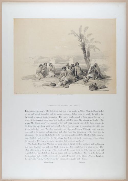 E611 - David Roberts - i32241