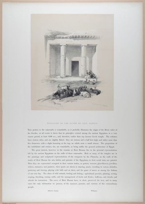 E611 - David Roberts - i32262