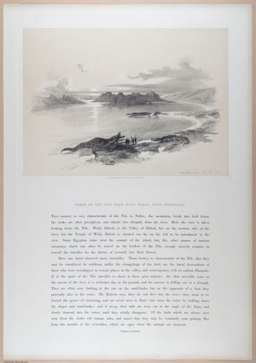 E611 - David Roberts - i32325