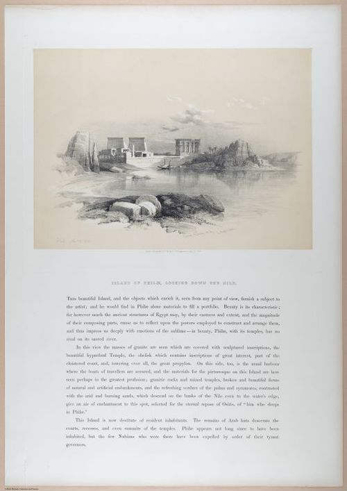E611 - David Roberts - i32334
