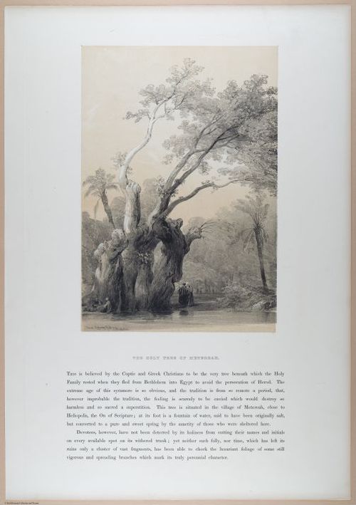 E611 - David Roberts - i32359