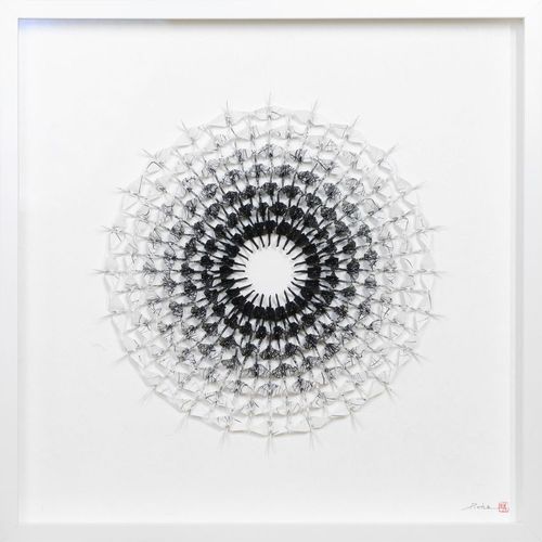 Iris - 20 x 20
