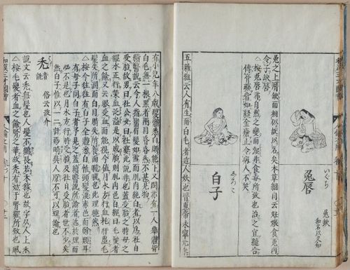 E612 - Japanese Woodblock Prints - i32411