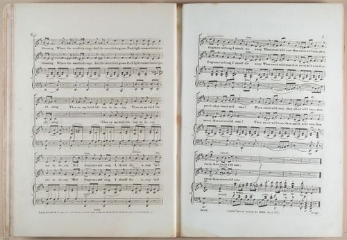 E618 - Sheet Music - i33371