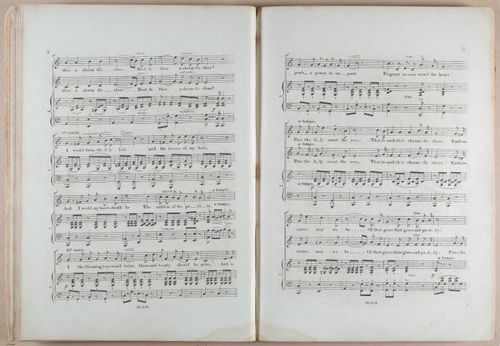 E618 - Sheet Music - i33374