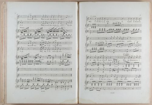 E618 - Sheet Music - i33375