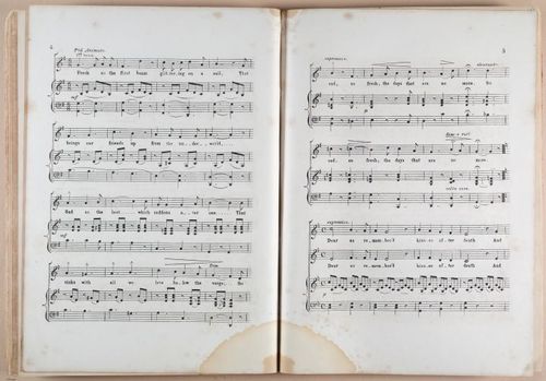 E618 - Sheet Music - i33387