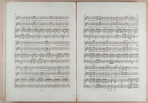 E618 - Sheet Music - i33369