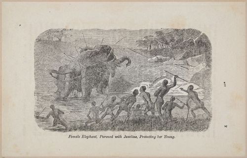 E626 - Livingstone’s Africa - 1872 - 0523