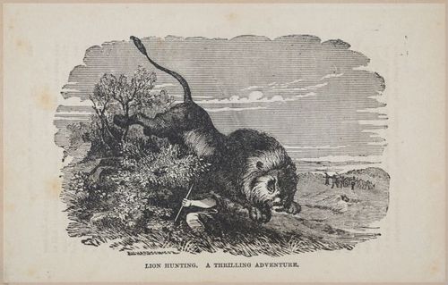E626 - Livingstone’s Africa - 1872 - 0526
