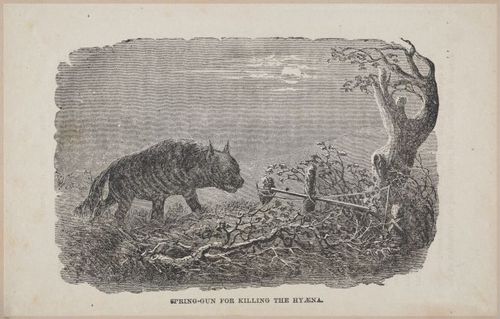 E626 - Livingstone’s Africa - 1872 - 0530