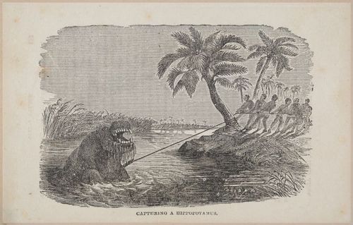 E626 - Livingstone’s Africa - 1872 - 0533