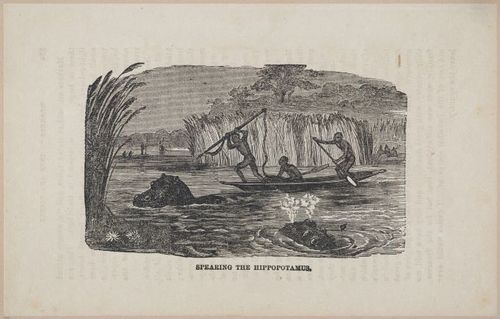 E626 - Livingstone’s Africa - 1872 - 0534