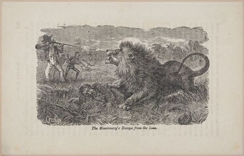 E626 - Livingstone’s Africa - 1872 - 0535