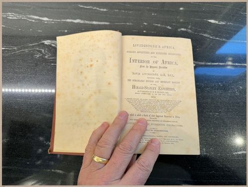 E626 - Livingstone’s Africa - 1872 - 9146