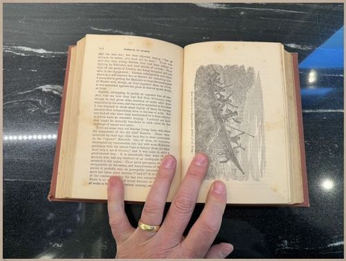 E626 - Livingstone’s Africa - 1872 - 9150