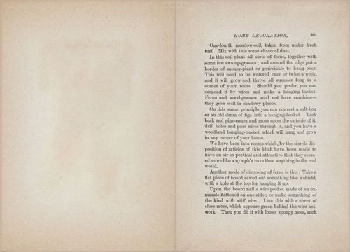 E627 - Manners, Culture and Dress - 1894 - 1395