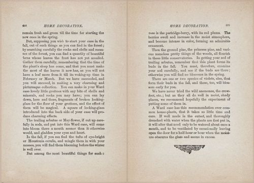 E627 - Manners, Culture and Dress - 1894 - 1400-1401