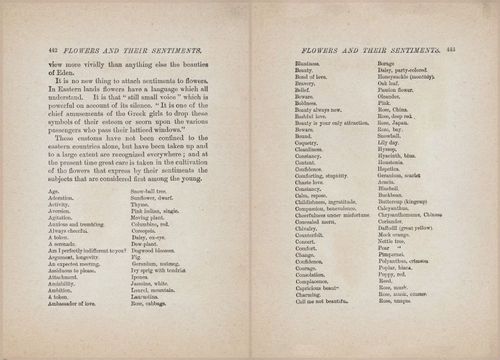 E627 - Manners, Culture and Dress - 1894 - 1436-1437