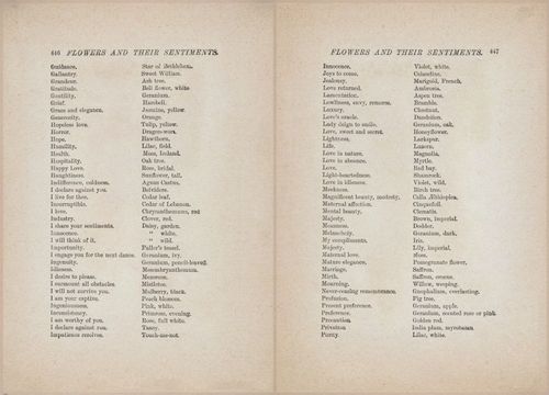 E627 - Manners, Culture and Dress - 1894 - 1440-1441