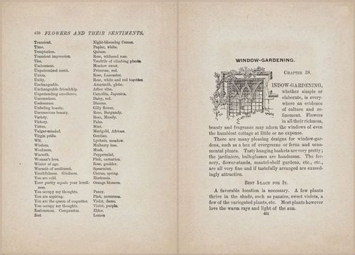 E627 - Manners, Culture and Dress - 1894 - 1444-1445